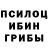 Псилоцибиновые грибы Magic Shrooms Dany Transforma